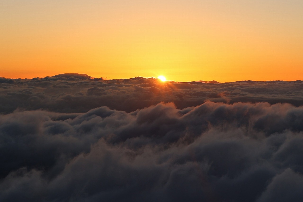 〈年末年始の診療のお知らせ〉